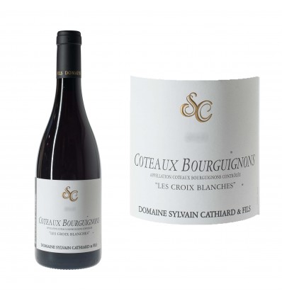 Coteaux Bourguignons 2023 – Domaine Sylvain Cathiard