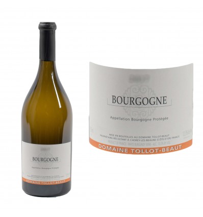 Bourgogne Côte d'Or Blanc 2023 Domaine Tollot-Beaut